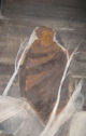 Affresco Corpus Domini 1966