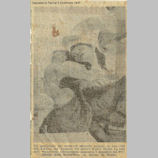 Soffitto Comune Parma 1947 Press