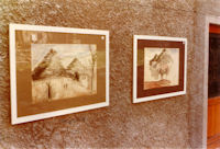 Sesta 1977